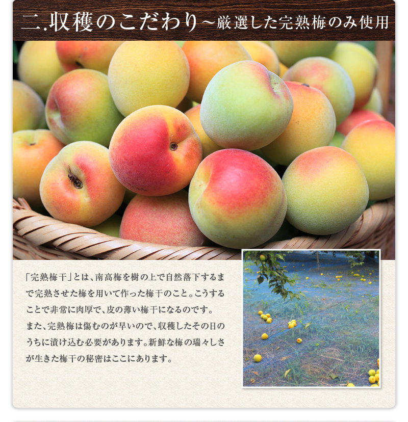 なかまつ農園 梅干し