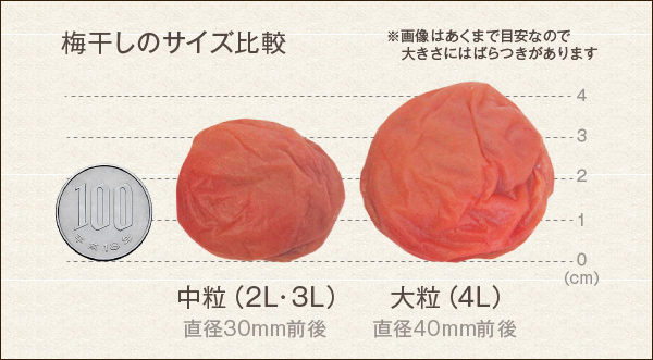 梅干のサイズ