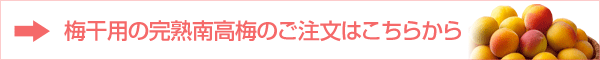 梅干用の完熟南高梅はこちら