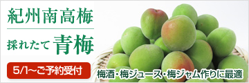 青梅