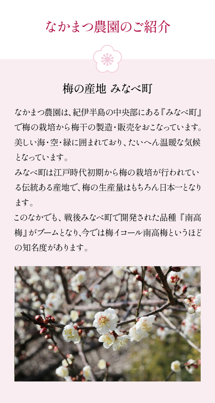 なかまつ農園のご紹介-梅の産地 みなべ町