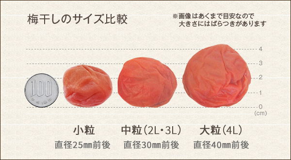 梅干のサイズ比較