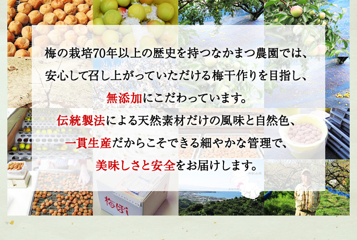 梅の栽培70年以上、なかまつ農園では安心の無添加にこだわり、紫蘇も全て自家菜園で無農薬栽培。一貫生産で美味しさと安全をお届けします。