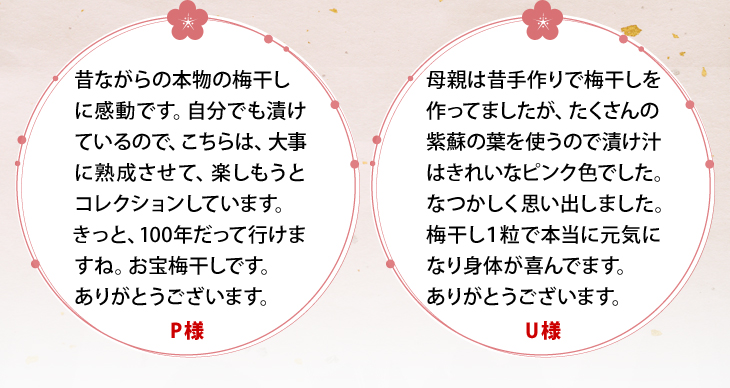 「昔ながらの本物の梅干しに感動。お宝梅干しです。」「梅干し1粒で本当に元気になり身体が喜んでいます。」