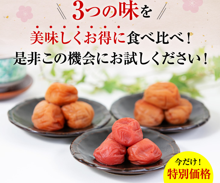 3つの味を美味しくお得に食べ比べ！是非この機会にお試しください！