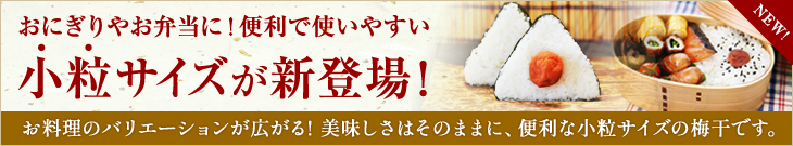 お弁当やおにぎりにも！様々なお料理に使いやすい小粒梅干